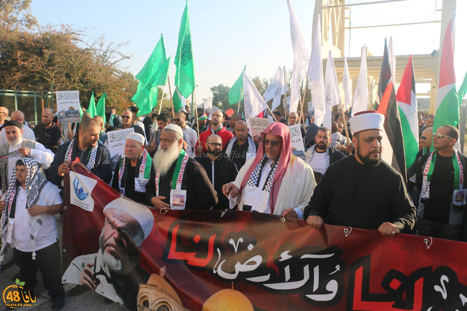 yaffa modahara jeq (59).jpg